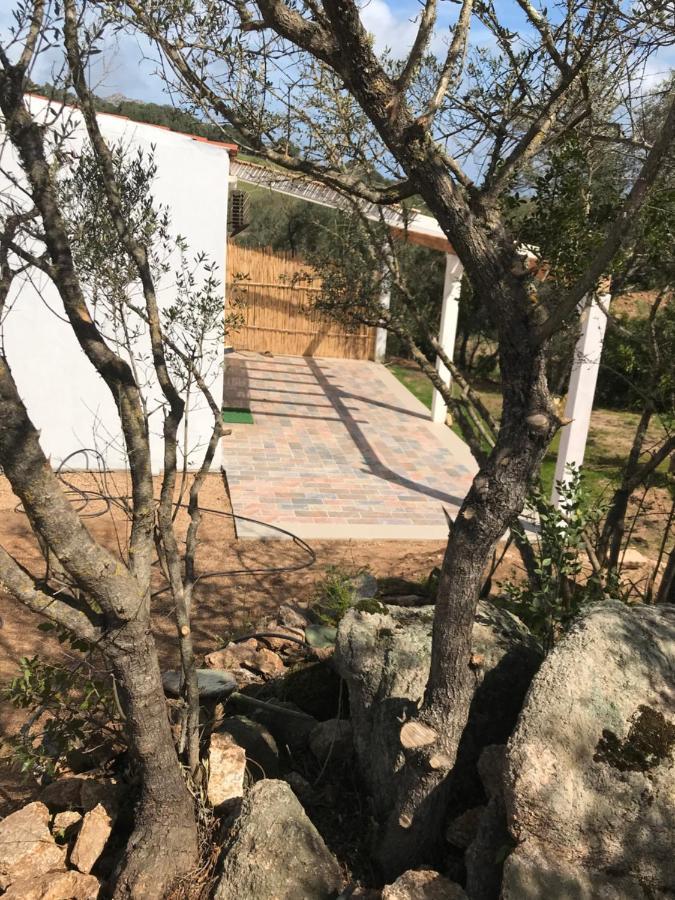 فندق La Fragola In Campagna 6 K M Da سان بانتاليو المظهر الخارجي الصورة
