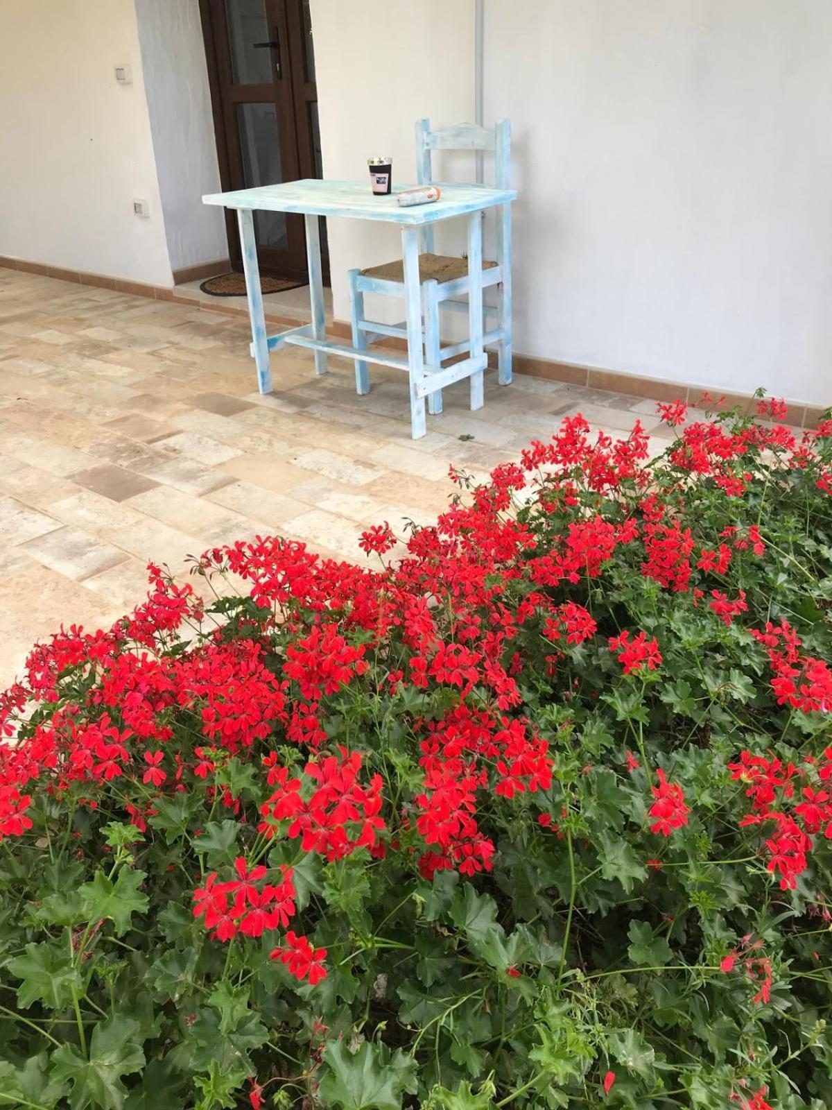 فندق La Fragola In Campagna 6 K M Da سان بانتاليو المظهر الخارجي الصورة