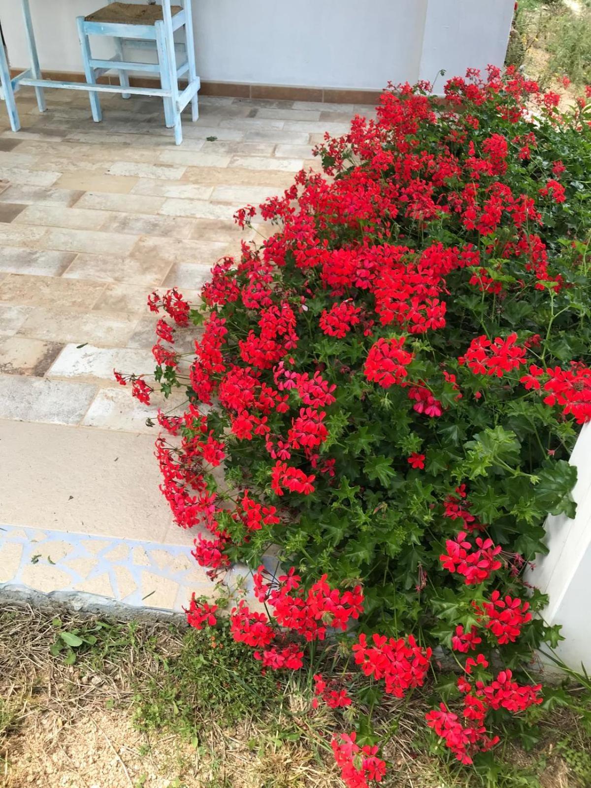 فندق La Fragola In Campagna 6 K M Da سان بانتاليو المظهر الخارجي الصورة