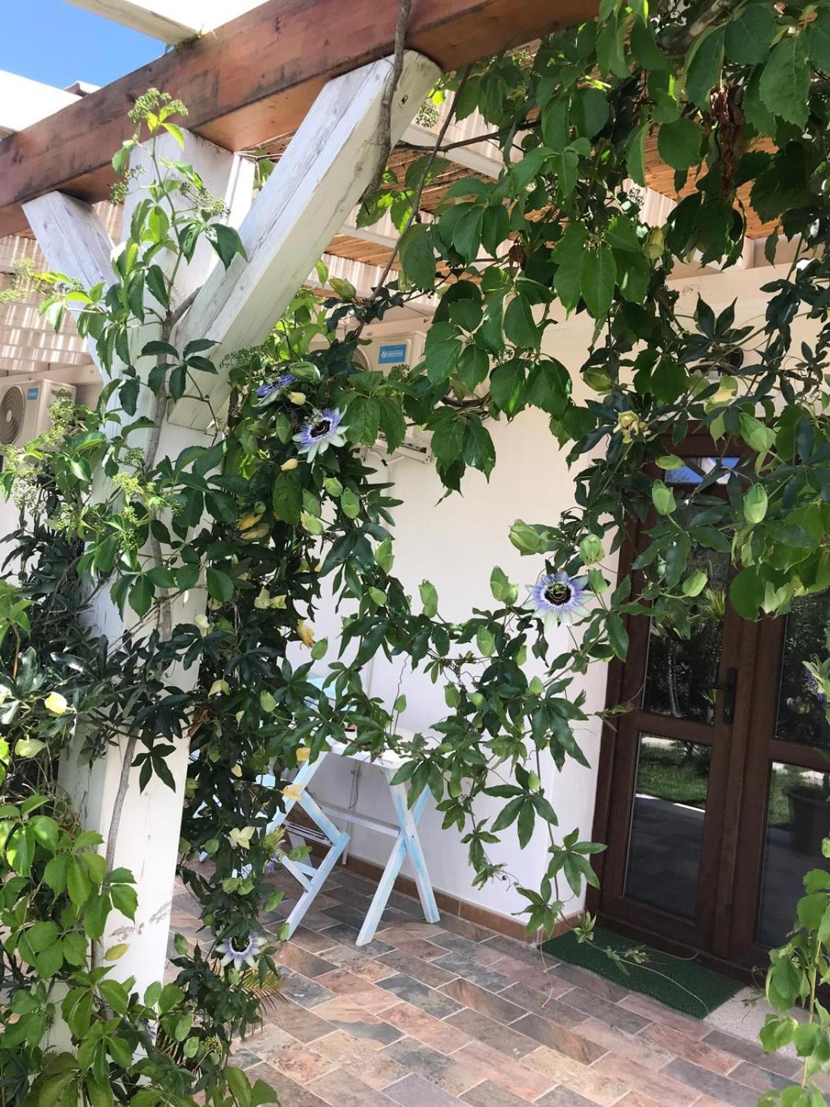 فندق La Fragola In Campagna 6 K M Da سان بانتاليو المظهر الخارجي الصورة