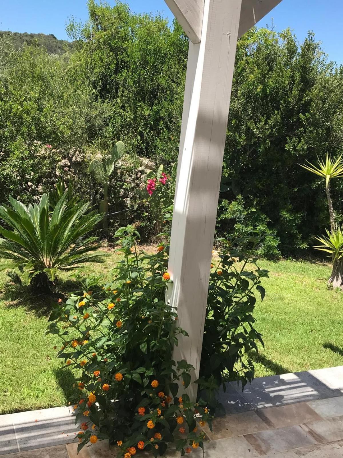 فندق La Fragola In Campagna 6 K M Da سان بانتاليو المظهر الخارجي الصورة
