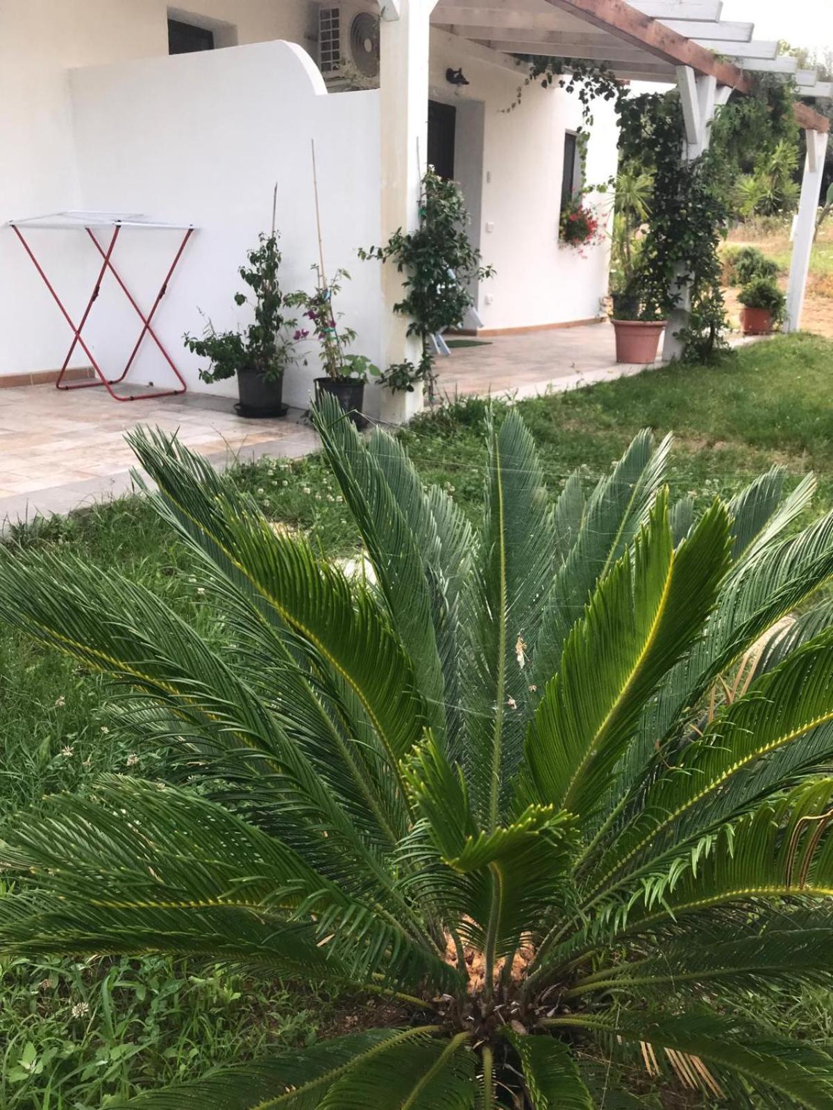 فندق La Fragola In Campagna 6 K M Da سان بانتاليو المظهر الخارجي الصورة